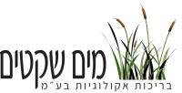 מים שקטים בריכות אקולוגיות