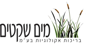 מים שקטים בריכות אקולוגיות